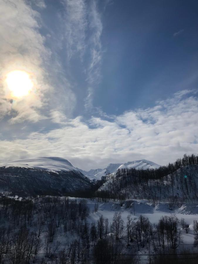 Hundbergan Apartment-Free Parking-15 Min From Tromso Tromsdalen Экстерьер фото